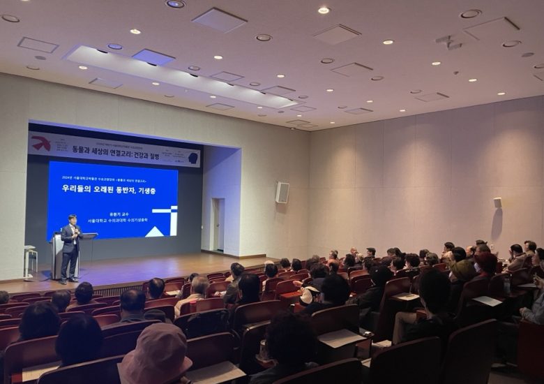 2024년 서울대학교박물관 수요교양강좌  (2024.11.06)